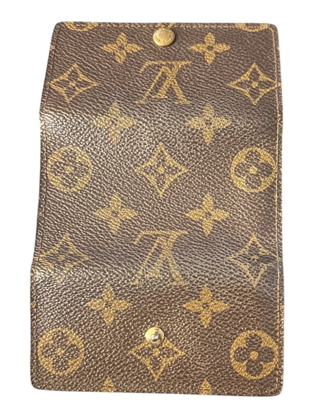 Louis Vuitton authentic louis